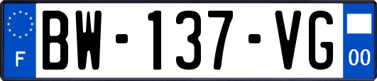 BW-137-VG