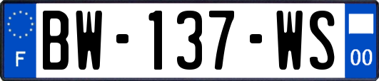 BW-137-WS