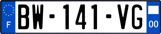 BW-141-VG