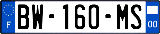 BW-160-MS