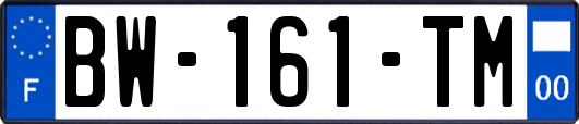 BW-161-TM