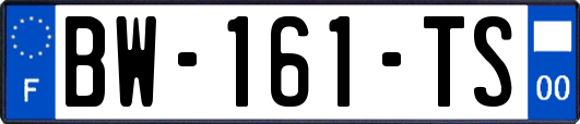 BW-161-TS