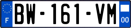 BW-161-VM