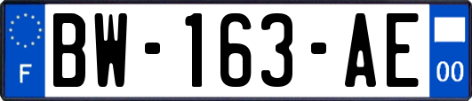 BW-163-AE