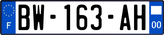 BW-163-AH