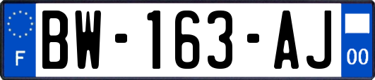 BW-163-AJ