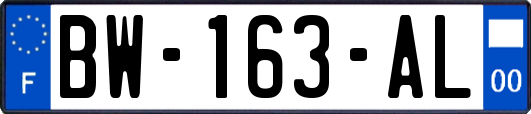 BW-163-AL