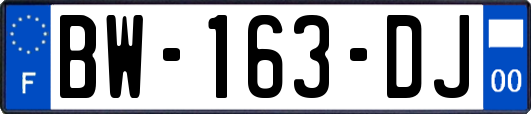 BW-163-DJ