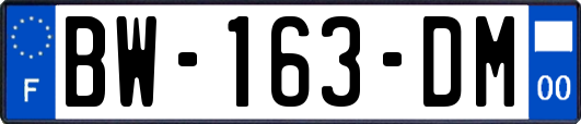 BW-163-DM