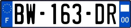 BW-163-DR