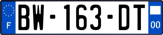 BW-163-DT