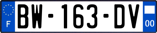 BW-163-DV