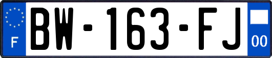 BW-163-FJ