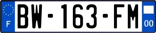 BW-163-FM