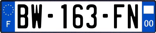 BW-163-FN