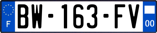 BW-163-FV