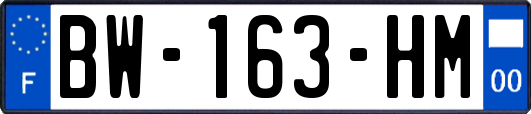 BW-163-HM