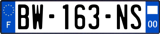 BW-163-NS