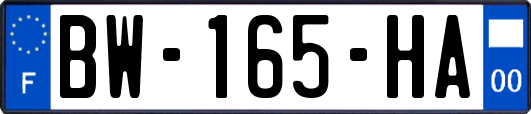 BW-165-HA