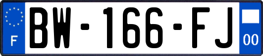 BW-166-FJ