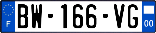BW-166-VG