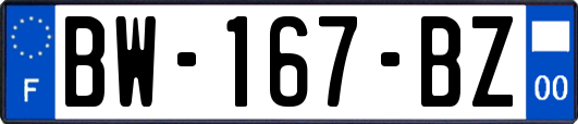 BW-167-BZ