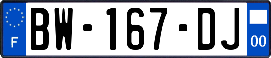 BW-167-DJ