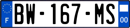BW-167-MS