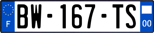 BW-167-TS