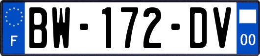 BW-172-DV