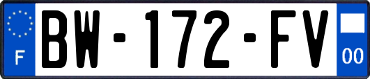 BW-172-FV