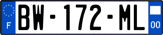 BW-172-ML