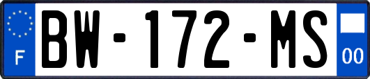 BW-172-MS