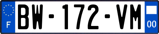 BW-172-VM