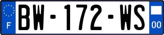 BW-172-WS