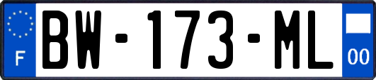 BW-173-ML