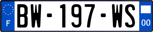 BW-197-WS