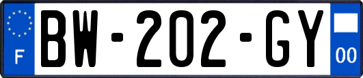 BW-202-GY