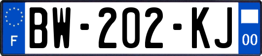 BW-202-KJ