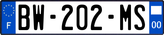 BW-202-MS