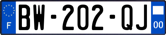 BW-202-QJ