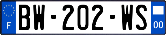 BW-202-WS