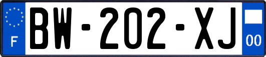 BW-202-XJ