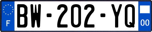 BW-202-YQ