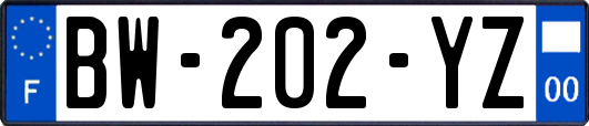 BW-202-YZ