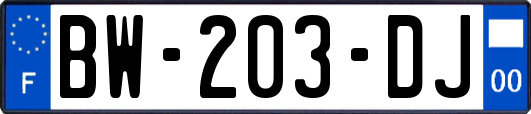 BW-203-DJ