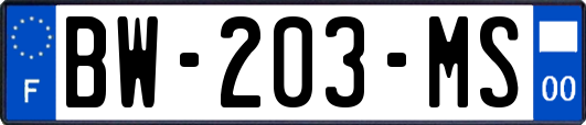 BW-203-MS