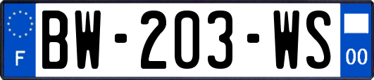 BW-203-WS