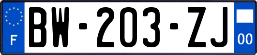 BW-203-ZJ