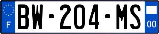 BW-204-MS